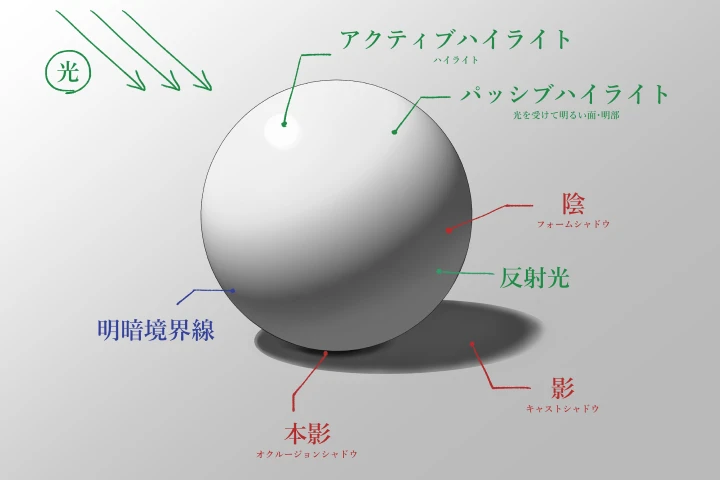 Coloso illustrato noze 講座の例題