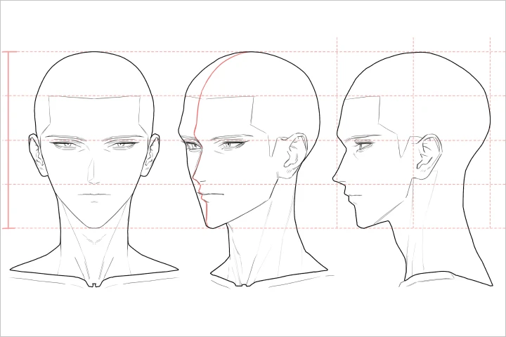 Coloso illustrato noze 講座の例題