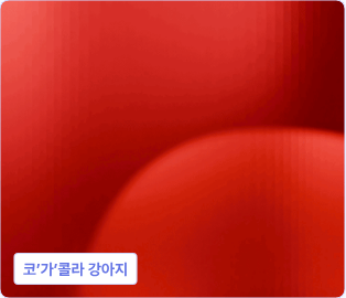 ImageSlide <div class="feature-label">기능명</div> <div class="fc_title4">Empty</div>
