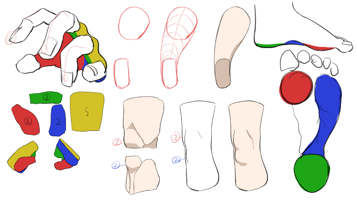 セクション02.腕、脚の理解.png