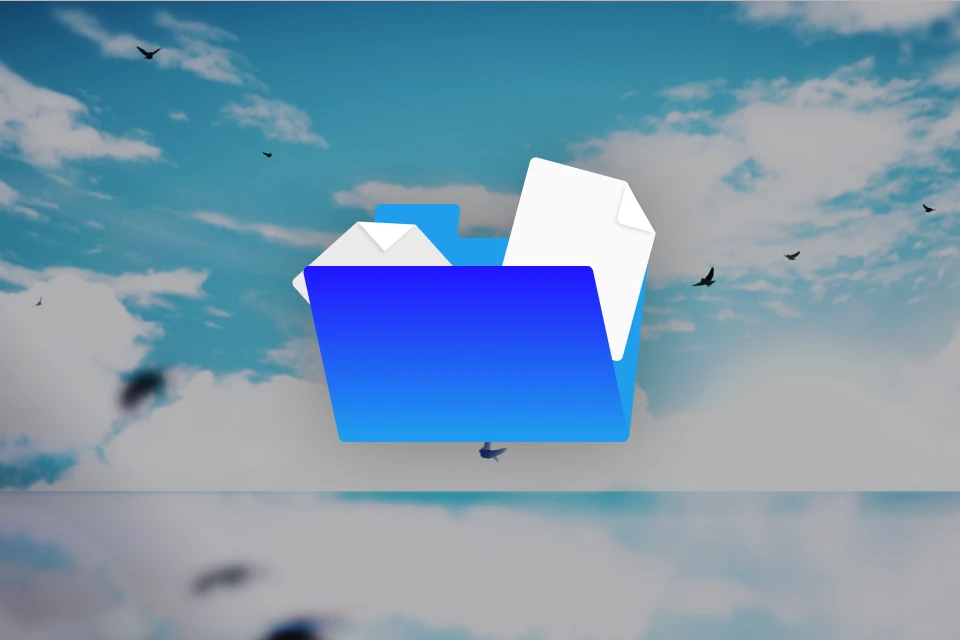 Motion Graphic Designer, SubaruSx perks