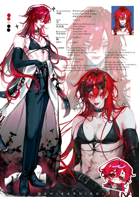 Illustrator, shibaruirui portfolio