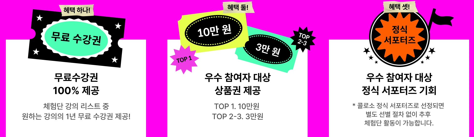 콜로소 체험단