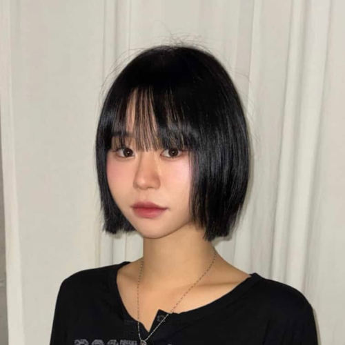 레자컷 테크니션, 살화 화 원장 포트폴리오