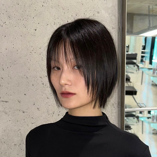 레자컷 테크니션, 살화 화 원장 포트폴리오