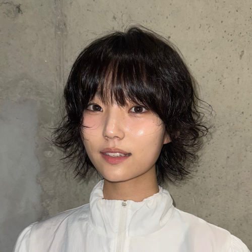 레자컷 테크니션, 살화 화 원장 포트폴리오