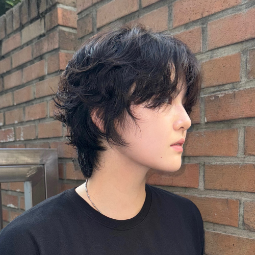레자컷 테크니션, 살화 화 원장 포트폴리오