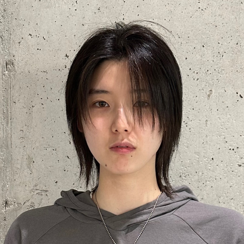 레자컷 테크니션, 살화 화 원장 포트폴리오