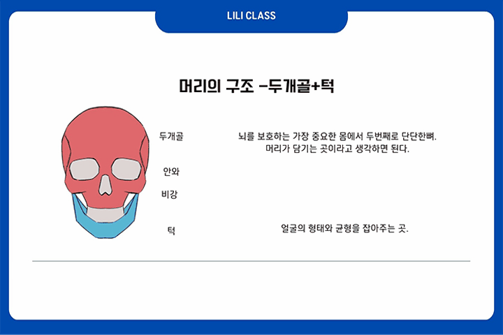 일러스트레이터, 제네리  강의예제
