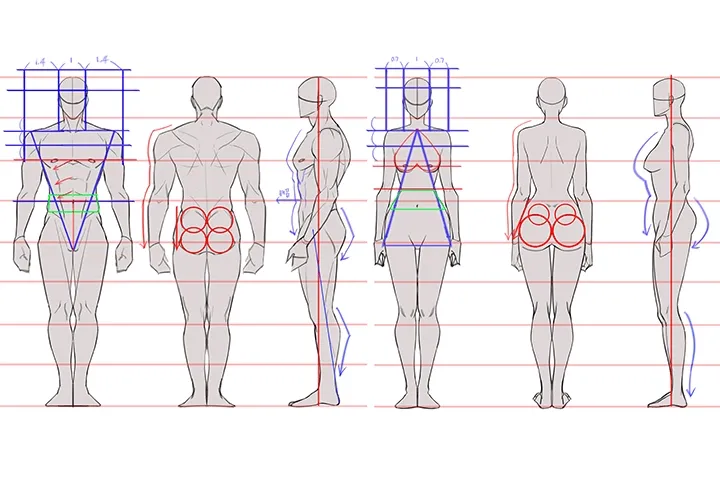 <p>쉽게 외워 실전에 적용하는 인체 구조 단순화</p>