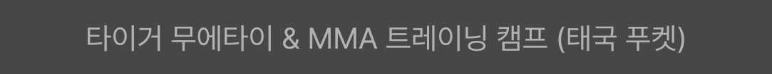 mma, ufc, ufc 챔피언, 김동현, 양감독, 양성훈 감독, mma 스파링, 스파링, mma lecture, 체육관