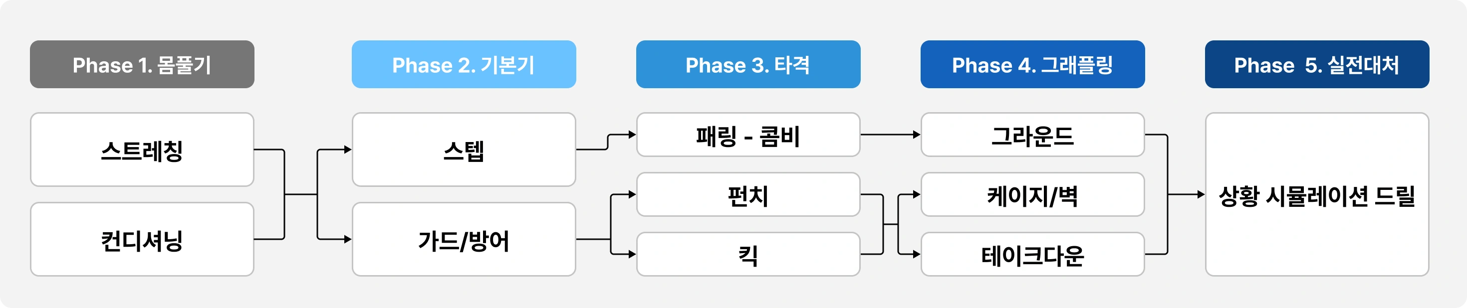mma, ufc, ufc 챔피언, 김동현, 양감독, 양성훈 감독, mma 스파링, 스파링, mma lecture, 체육관
