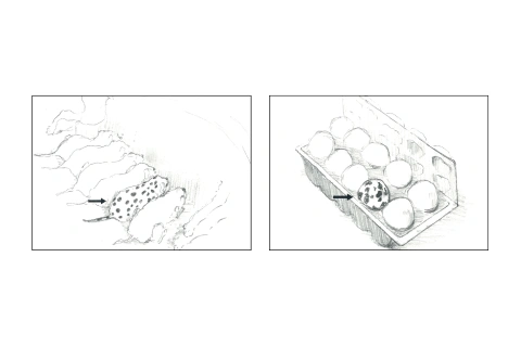 <p>コンセプトを軸にしたデザイン設計</p>
