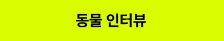 ImageSlide<style>   /* 영상 컨테이너 설정 */   .video-wrapper {     width: 313px;          /* PC 기본 너비 */     margin: 0 auto;        /* PC: 중앙 정렬 */     display: flex;     justify-content: center;   }    .video-wrapper video {     width: 100%;           /* 컨테이너 너비에 맞춤 */     height: auto;     display: block;     border-radius: 0px;    /* 선택 사항: 부드러운 모서리 */   }    /* 모바일 설정 (화면 너비 768px 이하) */   @media screen and (max-width: 768px) {     .video-wrapper {       width: 100%;         /* 모바일: 가로 전체 사용 */       max-width: 360px;    /* 최대 313px까지만 커지도록 제한 */       justify-content: flex-start; /* 모바일: 왼쪽 정렬 */       margin: 0;           /* 왼쪽 여백 제거 */     }          .video-wrapper video {       width: 100%;          /* 모바일에서 화면 끝에 너무 붙지 않게 조절 */     }   } </style>  <div class="video-wrapper">   <video autoplay loop muted playsinline>      <source src="https://cdn.day1company.io/prod/uploads/202603/120808-1931/동물-인터뷰.mp4" type="video/mp4">     브라우저가 영상을 지원하지 않습니다.   </video> </div>