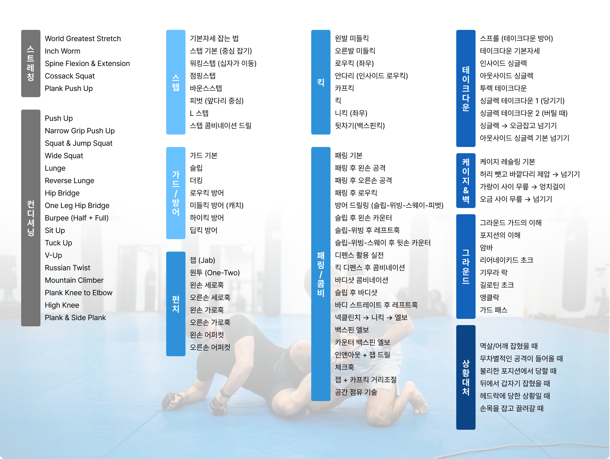 mma, ufc, ufc 챔피언, 김동현, 양감독, 양성훈 감독, mma 스파링, 스파링, mma lecture, 체육관