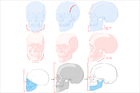 <p>年齢と性別の描き分け方</p>