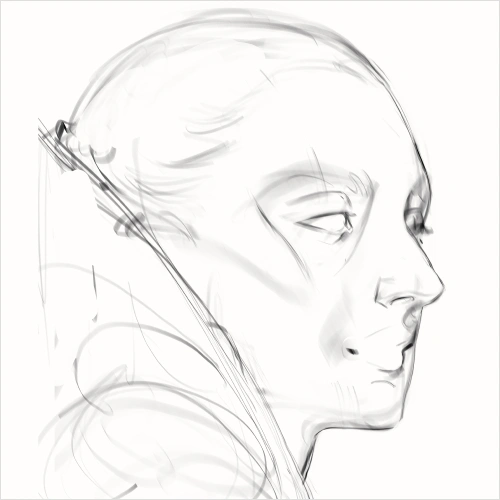 Illustrator, AliArtcher