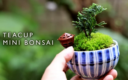 ミニ盆栽作家 As Channel-image