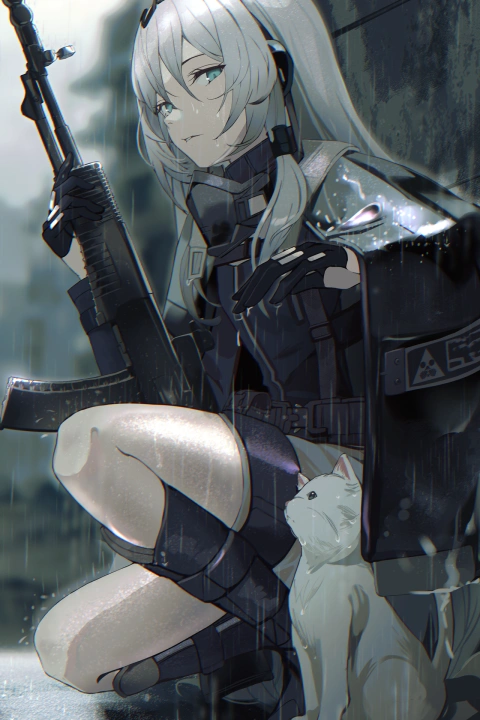 일러스트레이터, NIAC 포트폴리오