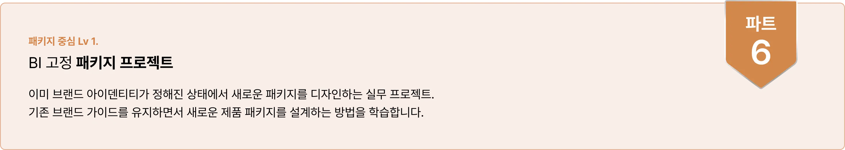 BX, BI, 패키지디자인, BX디자인, BIBX, 디자인실무, 디자인강의, 패키지강의, BX강의, 패키지디자이너, BX디자이너, 디자이너