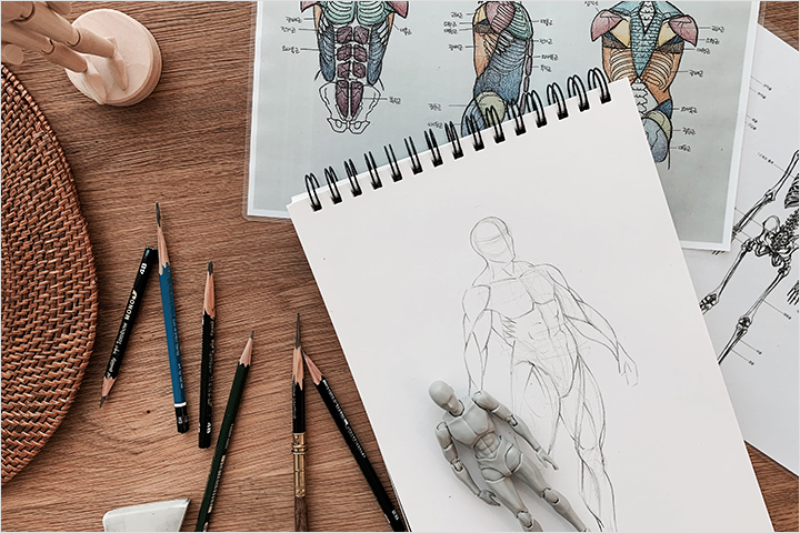 <p><strong>Learn Practical Anatomy for Real World Drawing</strong></p>