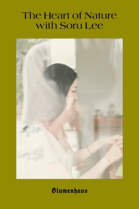 일러스트레이터, 이소루