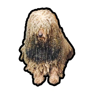 戰鬥田田仔 Yutian