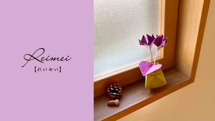 curriculum-origamiartist-fuchimoto-jp-05.webp