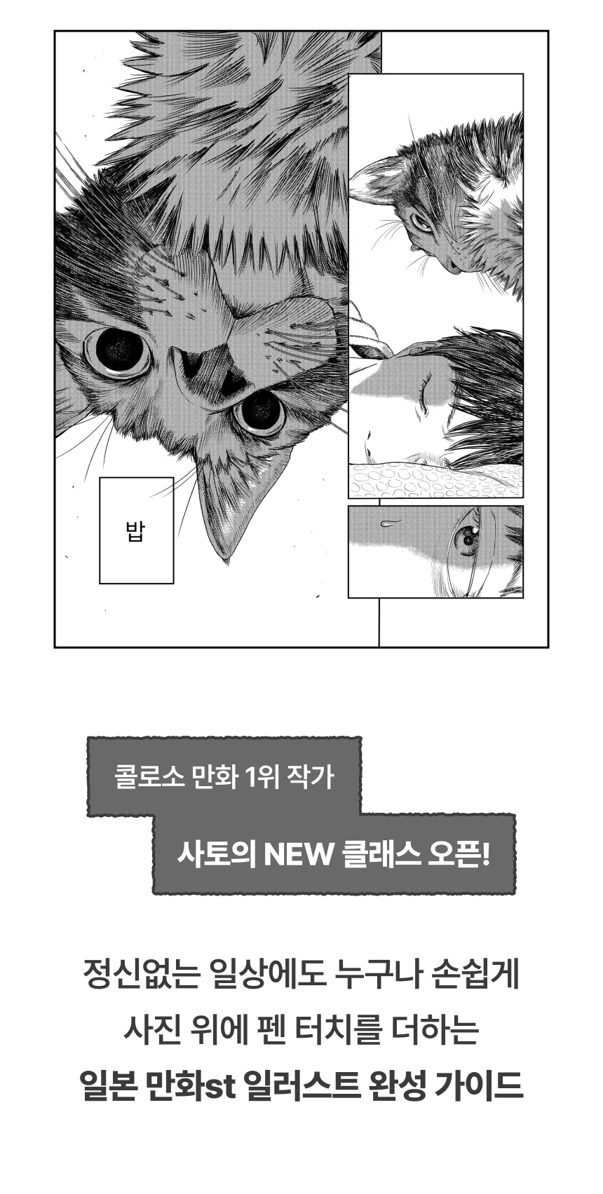 만화가, 사토