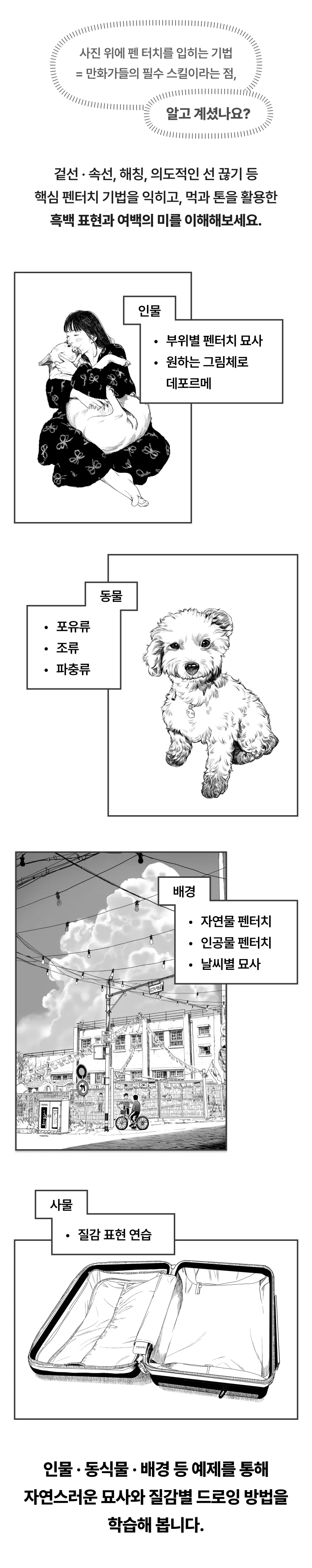 만화가, 사토
