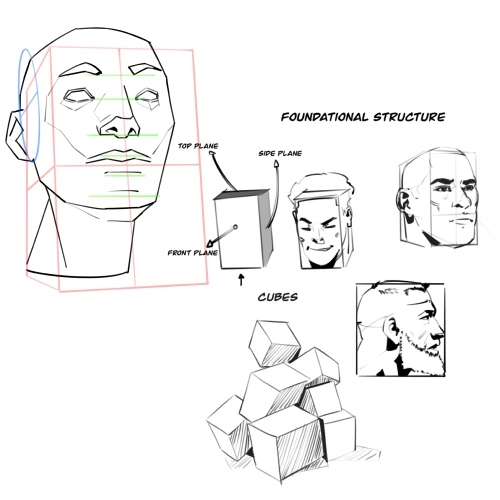 <p><strong>Structural Portrait Drawing and Three Dimensional Head Construction</strong></p>