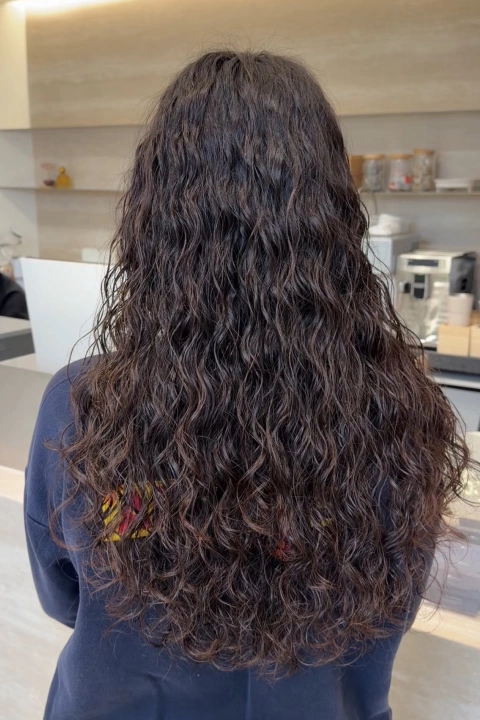 <p>살롱 실무에 즉시 적용하는 빠르고 정확한 커트 단축 루틴</p>