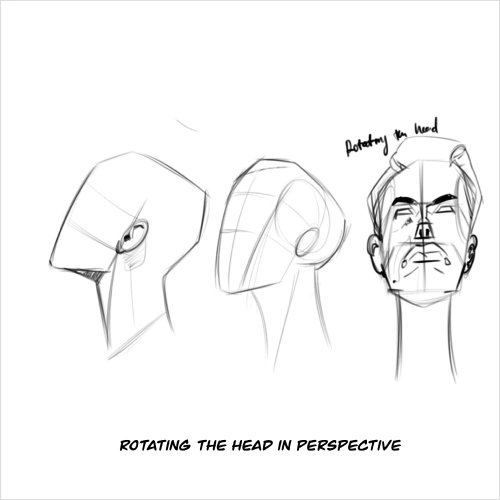 Illustrator, Riley Kayote  Exercise