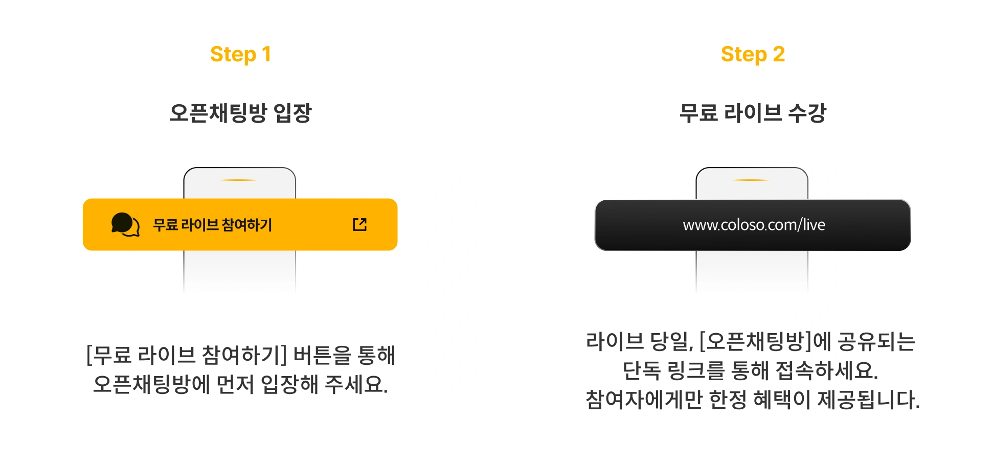 콜로소 무료라이브 수강 방법