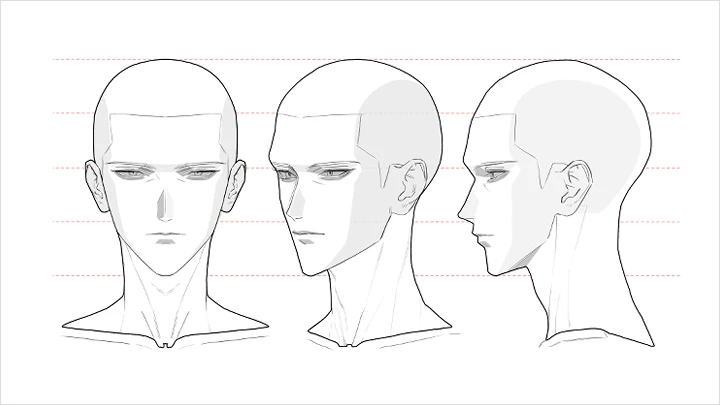curriculum-illustrator-noze-jp_3_1.webp
