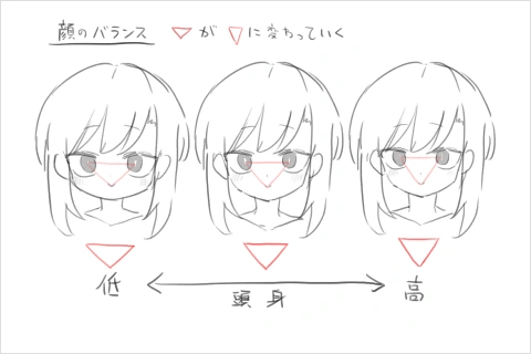 <p><strong>人体と顔のバランス</strong></p>