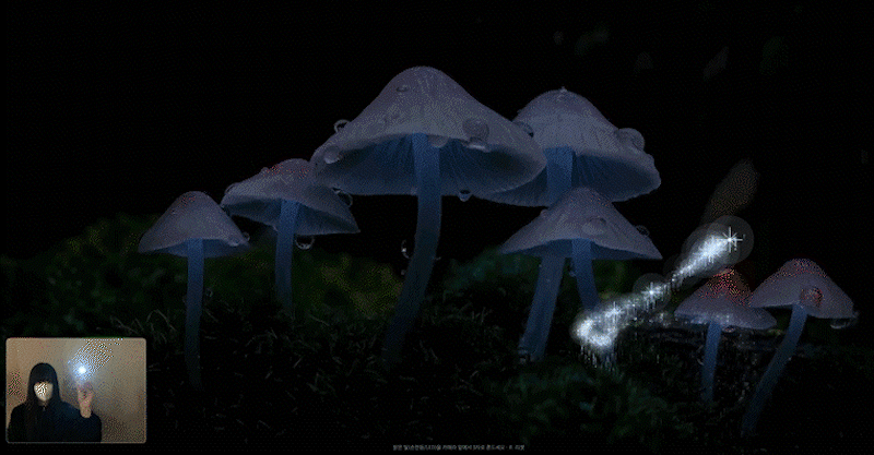 ImageSlide