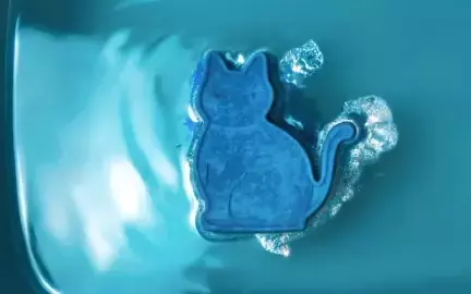 3D 그래픽 아티스트 파란지-image