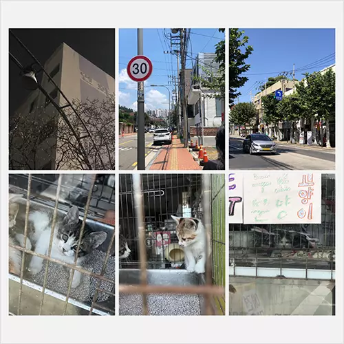 <p><strong>AI時代において、ストーリーテリング企画が重要になる理由</strong></p>