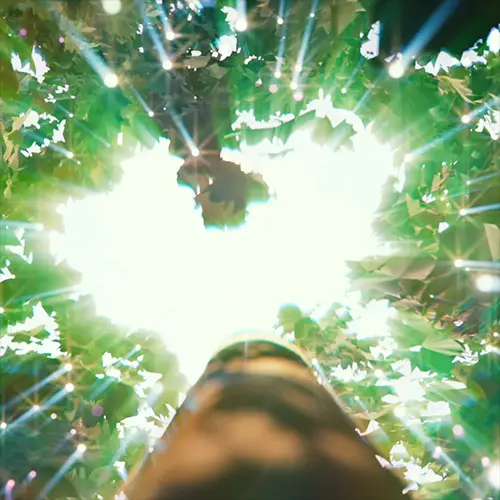 <p><strong>効率的なポストワークフローとスペシャルシーンのルックデブ演出のノウハウ</strong></p>