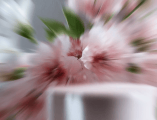 ImageSlide