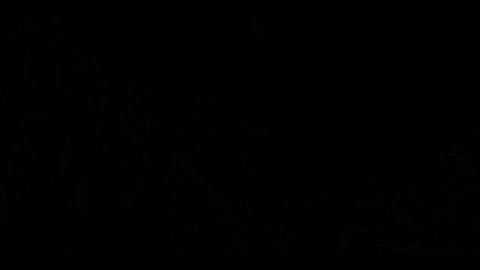 ImageSlide