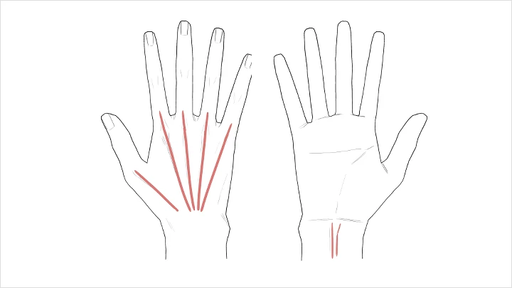 curriculum-illustrator-noze-jp_5_1.webp