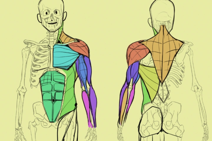 Illustrator, Qrbits Exercise