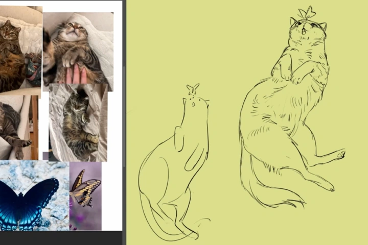 Illustrator, Qrbits Exercise