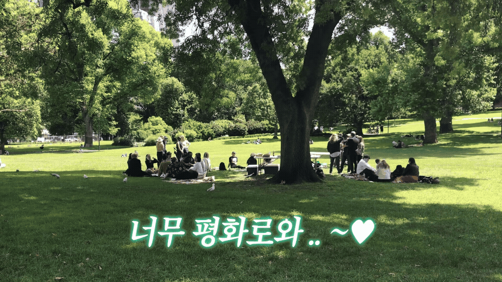 ImageSlide<b>글로우 자막효과</b>