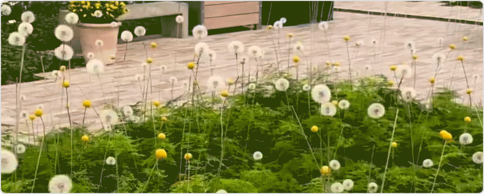 ImageSlide<span style="color:#E60614;">  <b>Case 5 </span></b><br> 백화점 ‘더현대’와 <b>공간 장식</b> 협업</b>