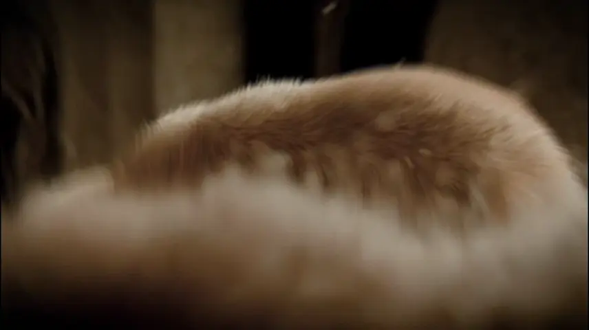 ImageSlide<b> TAEYANG 'QUINTESSENCE' TRAILER AI Visuals </b> <br> <span style="font-size:12px; opacity:50%; font-weight:500;"> © THEBLACKLABEL Inc. All Rights Reserved. </span>