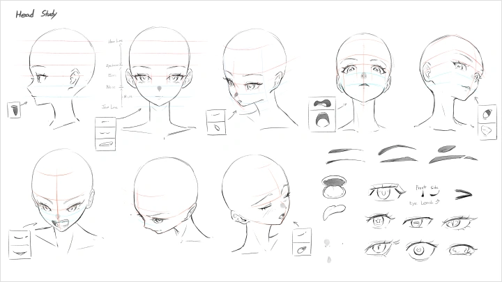 curriculum-illustrator-craizuss-us-section02-1.webp