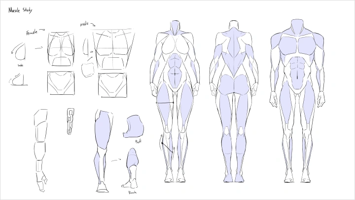 curriculum-illustrator-craizuss-us-section03-2.webp